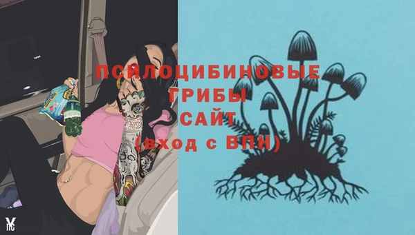 соль курить ск Щучье