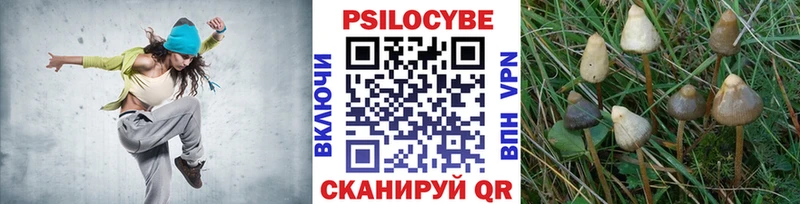 Псилоцибиновые грибы Psilocybine cubensis  купить наркотики сайты  Багратионовск 